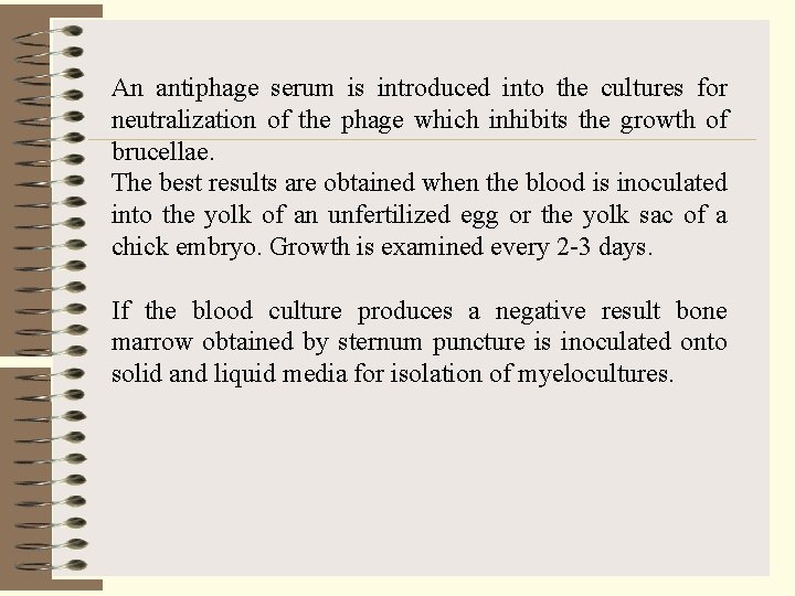 An antiphage serum is introduced into the cultures for neutralization of the phage which