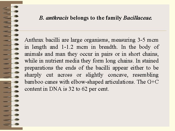 B. anthracis belongs to the family Bacillaceae. Anthrax bacilli are large organisms, measuring 3