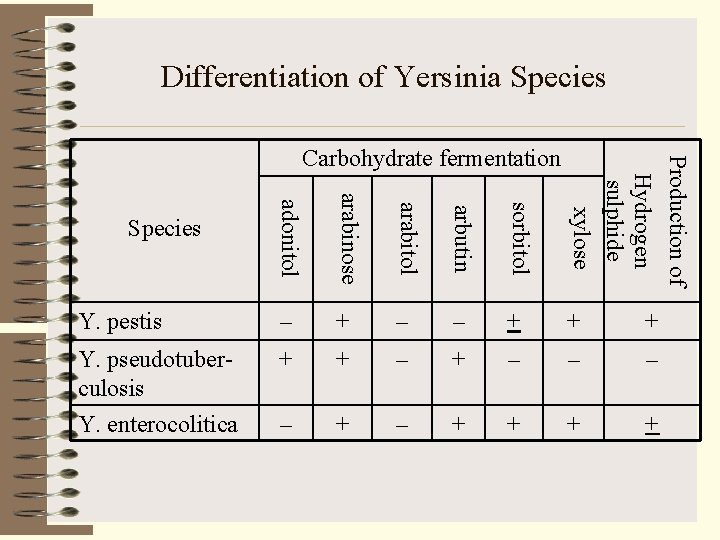 Differentiation of Yersinia Species adonitol arabinose arabitol arbutin sorbitol Production of Hydrogen sulphide xylose