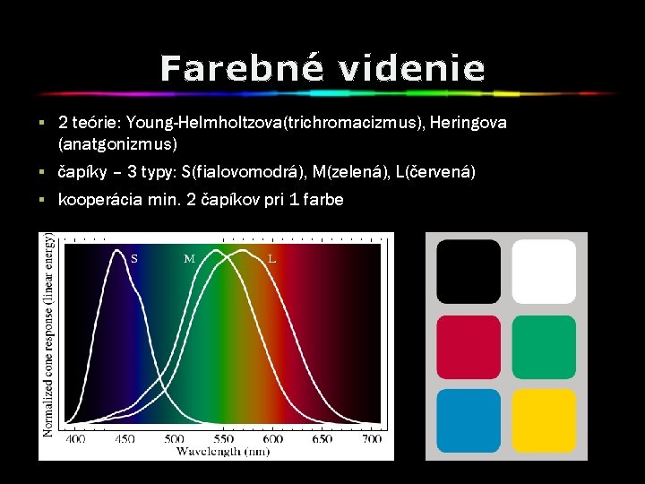 Farebné videnie § 2 teórie: Young-Helmholtzova(trichromacizmus), Heringova (anatgonizmus) § čapíky – 3 typy: S(fialovomodrá),