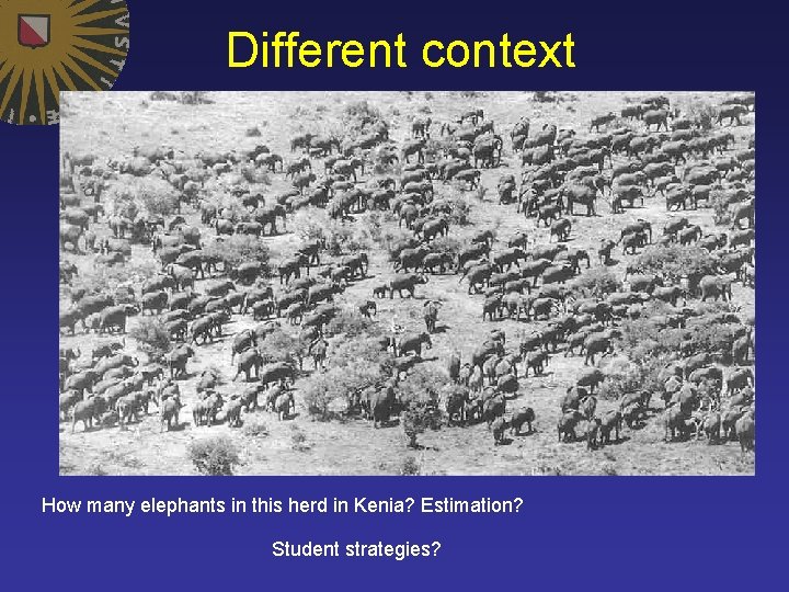 Different context How many elephants in this herd in Kenia? Estimation? Student strategies? 