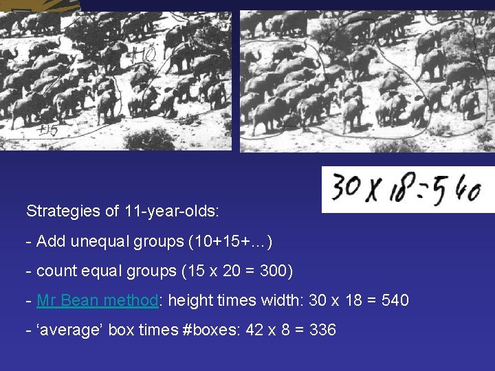 Strategies of 11 -year-olds: - Add unequal groups (10+15+…) - count equal groups (15