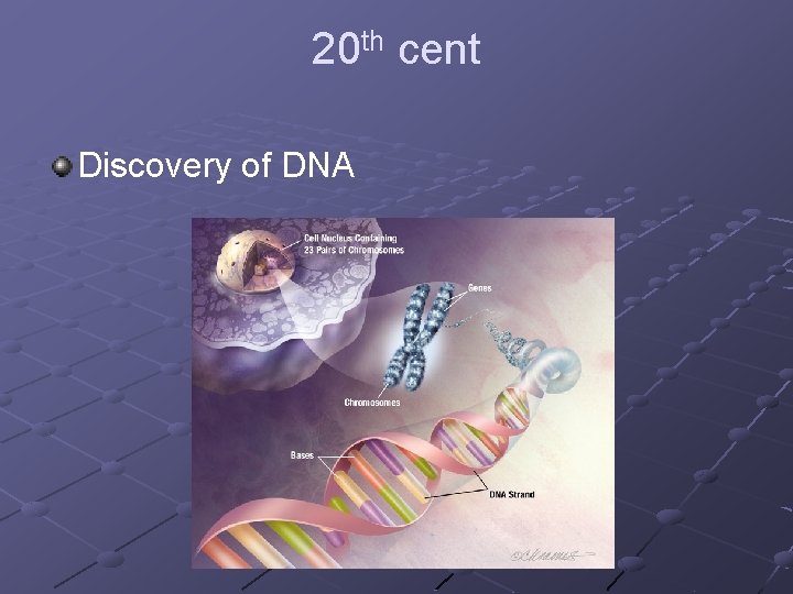 20 th cent Discovery of DNA 