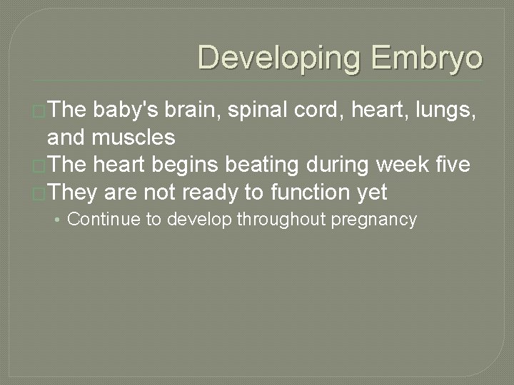 Developing Embryo �The baby's brain, spinal cord, heart, lungs, and muscles �The heart begins