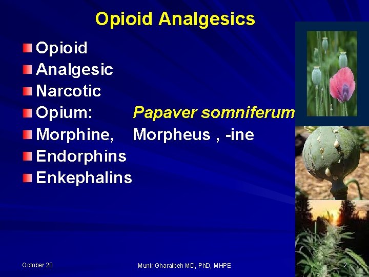 Opioid Analgesics Opioid Analgesic Narcotic Opium: Papaver somniferum Morphine, Morpheus , -ine Endorphins Enkephalins
