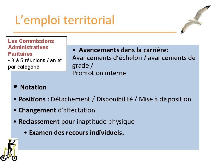 L’emploi territorial Les Commissions Administratives Paritaires • 3 à 5 réunions / an et