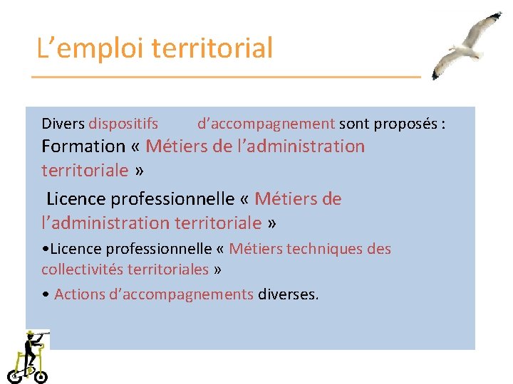 L’emploi territorial Divers dispositifs d’accompagnement sont proposés : Formation « Métiers de l’administration territoriale