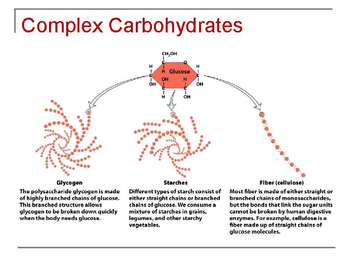 Complex Carbohydrates 