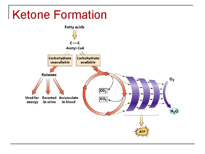 Ketone Formation 