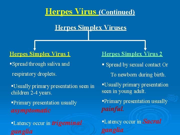 Herpes Virus (Continued) Herpes Simplex Viruses Herpes Simplex Virus 1 Herpes Simplex Virus 2