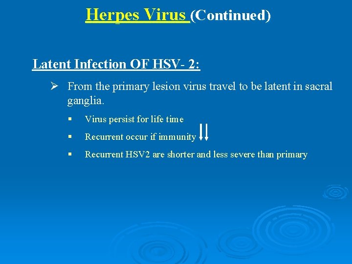 Herpes Virus (Continued) Latent Infection OF HSV- 2: Ø From the primary lesion virus