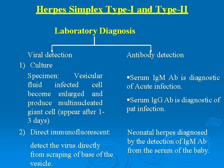 Herpes Simplex Type-I and Type-II Laboratory Diagnosis Viral detection 1) Culture Specimen: Vesicular fluid