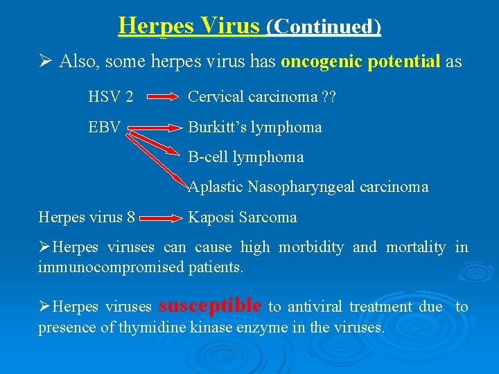 Herpes Virus (Continued) Ø Also, some herpes virus has oncogenic potential as HSV 2