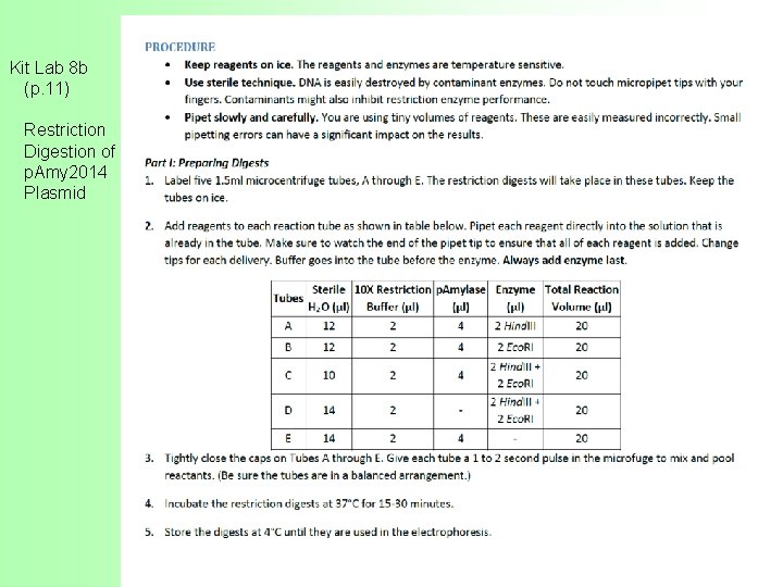 Kit Lab 8 b (p. 11) Restriction Digestion of p. Amy 2014 Plasmid 