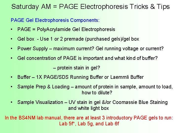 Saturday AM = PAGE Electrophoresis Tricks & Tips PAGE Gel Electrophoresis Components: • PAGE