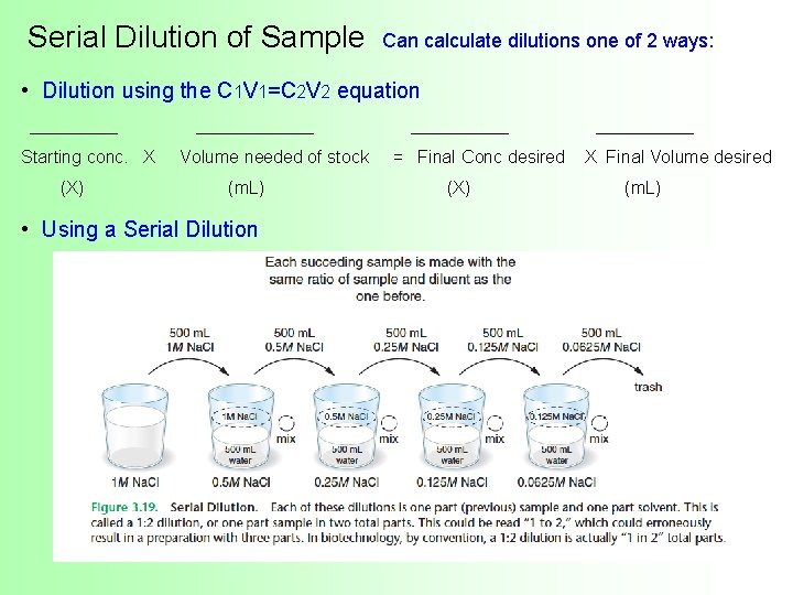 Serial Dilution of Sample Can calculate dilutions one of 2 ways: • Dilution using