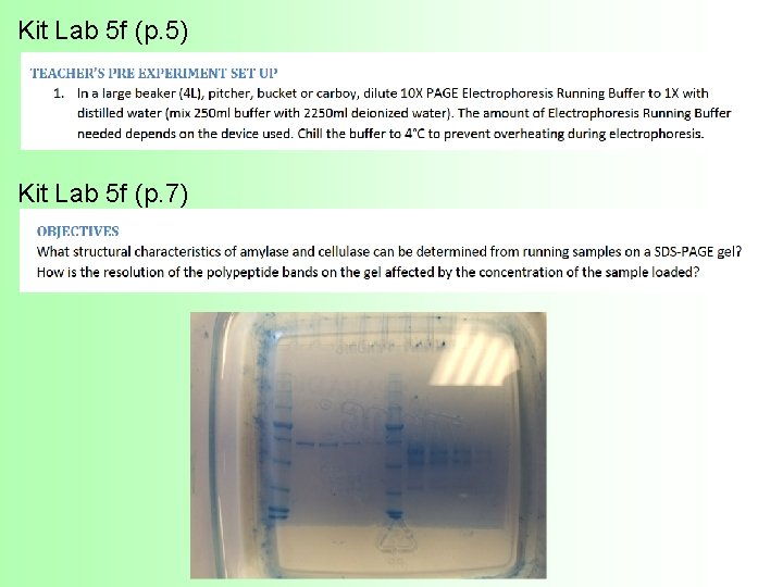 Kit Lab 5 f (p. 5) Kit Lab 5 f (p. 7) 