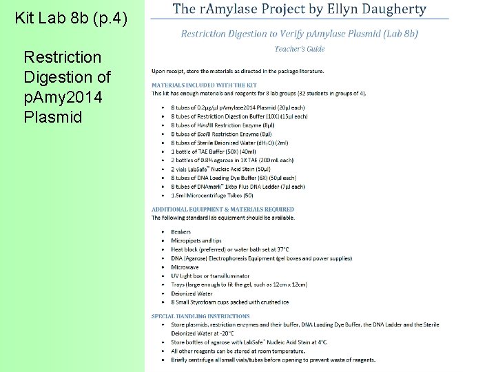 Kit Lab 8 b (p. 4) Restriction Digestion of p. Amy 2014 Plasmid 