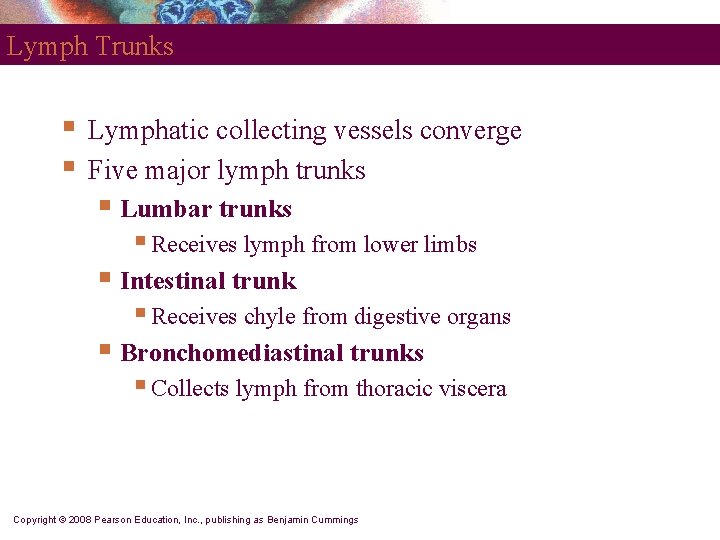 Lymph Trunks § § Lymphatic collecting vessels converge Five major lymph trunks § Lumbar