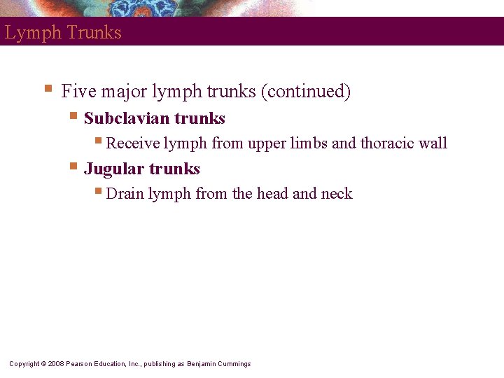 Lymph Trunks § Five major lymph trunks (continued) § Subclavian trunks § Receive lymph