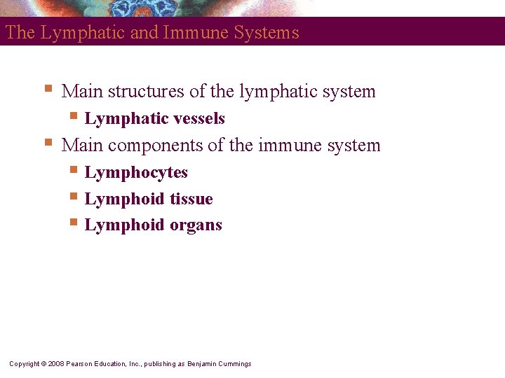 The Lymphatic and Immune Systems § Main structures of the lymphatic system § Lymphatic