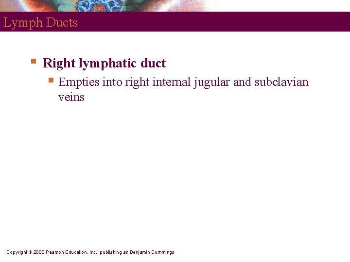 Lymph Ducts § Right lymphatic duct § Empties into right internal jugular and subclavian