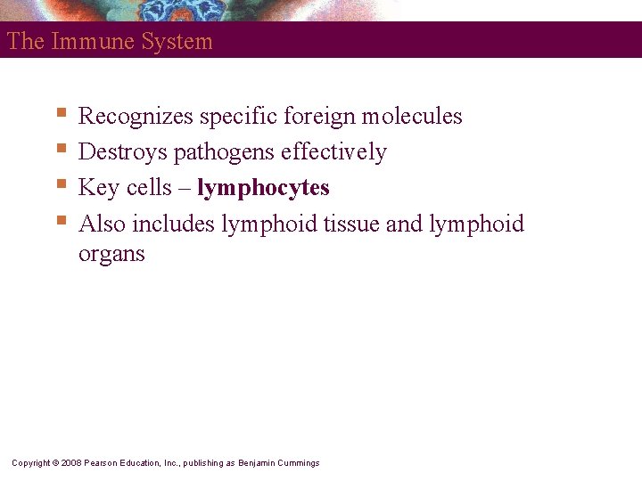 The Immune System § § Recognizes specific foreign molecules Destroys pathogens effectively Key cells