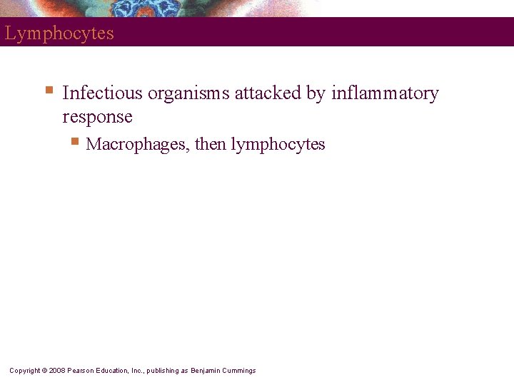 Lymphocytes § Infectious organisms attacked by inflammatory response § Macrophages, then lymphocytes Copyright ©