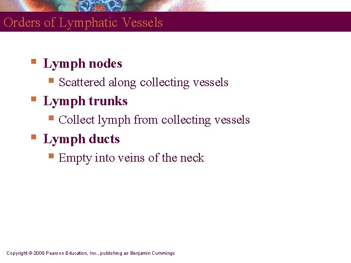 Orders of Lymphatic Vessels § Lymph nodes § Scattered along collecting vessels § Lymph