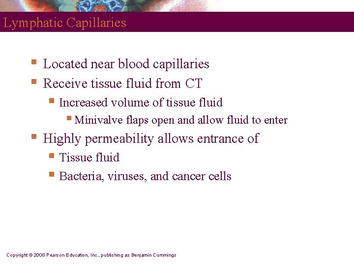 Lymphatic Capillaries § § Located near blood capillaries Receive tissue fluid from CT §