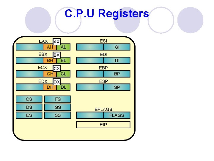 C. P. U Registers 