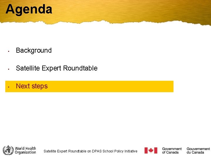 Agenda • Background • Satellite Expert Roundtable • Next steps Satellite Expert Roundtable on