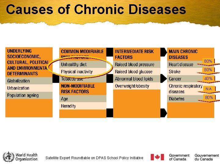 Causes of Chronic Diseases 80% 40% N. A. 80% Satellite Expert Roundtable on DPAS