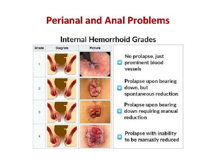 Perianal and Anal Problems 