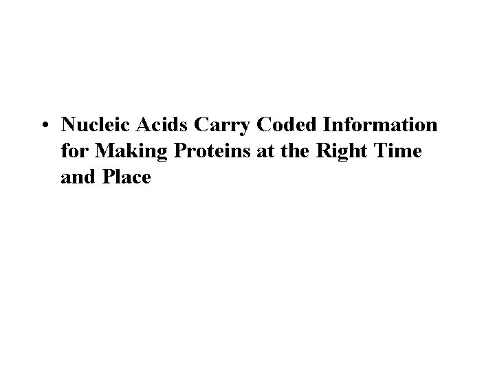  • Nucleic Acids Carry Coded Information for Making Proteins at the Right Time