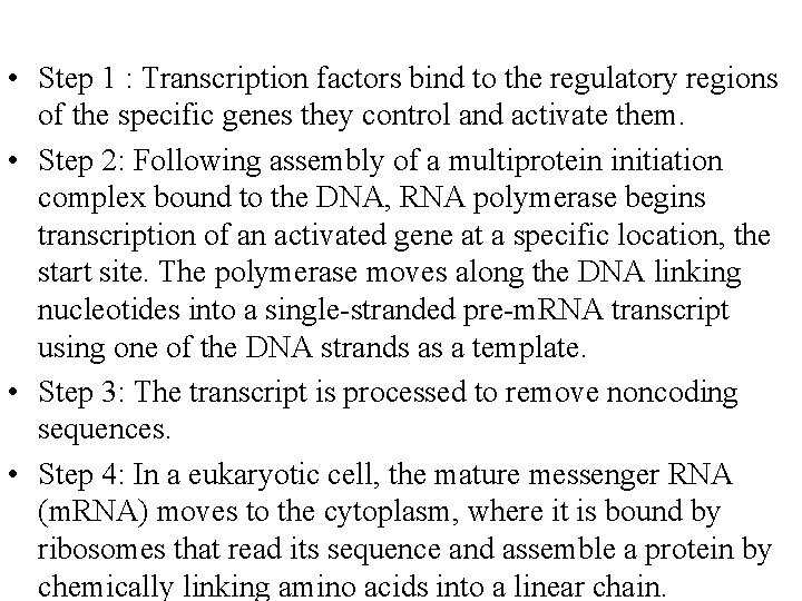  • Step 1 : Transcription factors bind to the regulatory regions of the