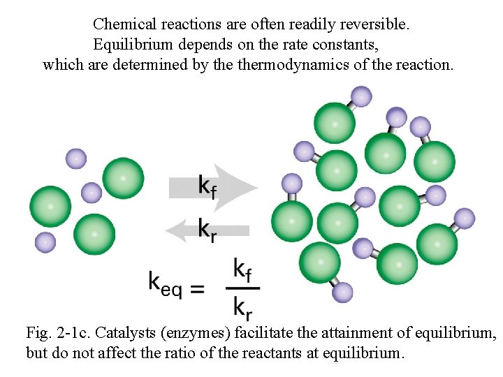 Chemical reactions are often readily reversible. Equilibrium depends on the rate constants, which are