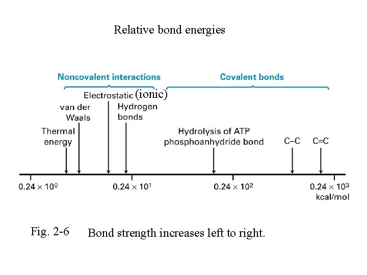 Relative bond energies (ionic) Fig. 2 -6 Bond strength increases left to right. 
