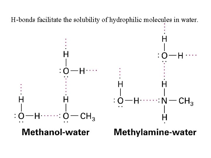 H-bonds facilitate the solubility of hydrophilic molecules in water. 