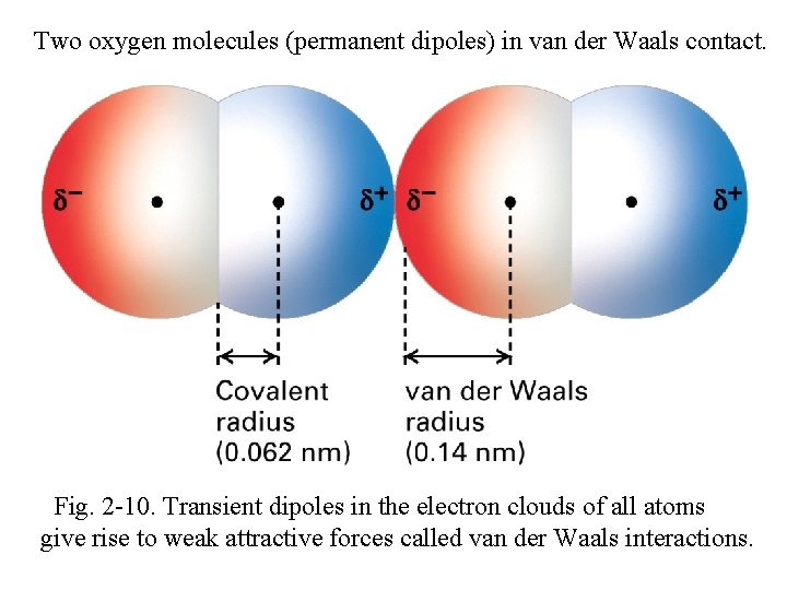 Two oxygen molecules (permanent dipoles) in van der Waals contact. Fig. 2 -10. Transient