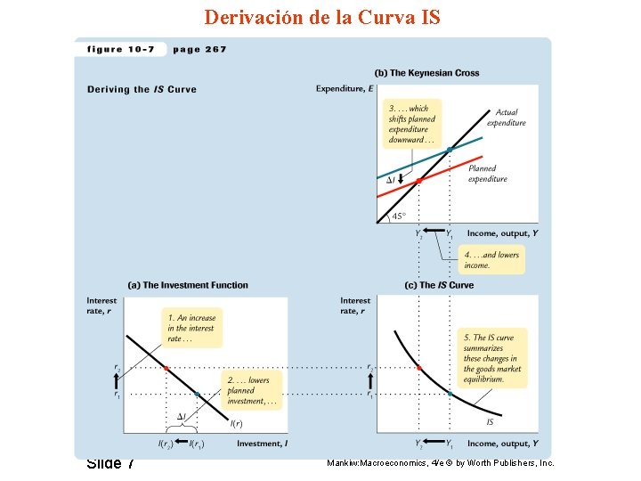 Derivación de la Curva IS Slide 7 Mankiw: Macroeconomics, 4/e © by Worth Publishers,