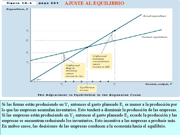 AJUSTE AL EQUILIBRIO Si las firmas están produciendo en Y 1 entonces el gasto