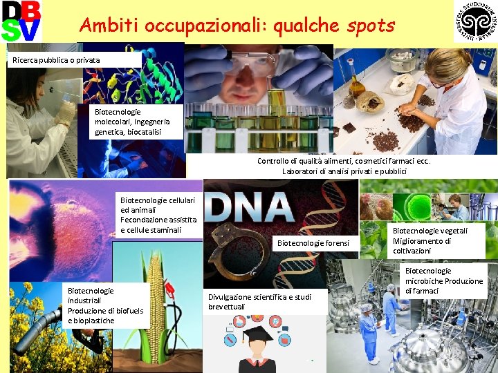 Ambiti occupazionali: qualche spots Ricerca pubblica o privata Biotecnologie molecolari, ingegneria genetica, biocatalisi Controllo