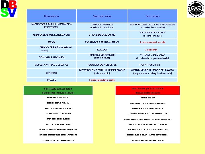 Primo anno Secondo anno Terzo anno MATEMATICA E BASI DI 1 NFORMATICA E STATISTICA