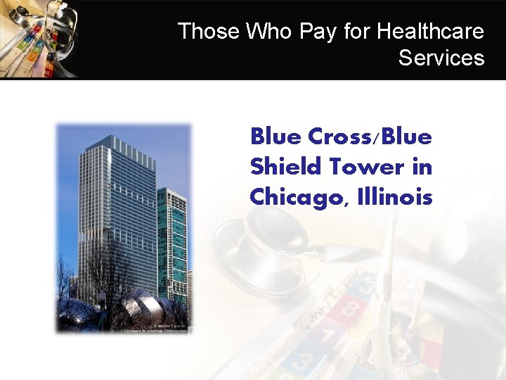 Those Who Pay for Healthcare Services Blue Cross/Blue Shield Tower in Chicago, Illinois 