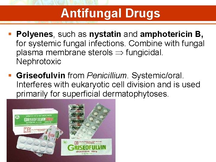 Antifungal Drugs § Polyenes, such as nystatin and amphotericin B, for systemic fungal infections.