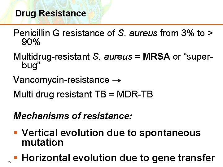 Drug Resistance Penicillin G resistance of S. aureus from 3% to > 90% Multidrug-resistant