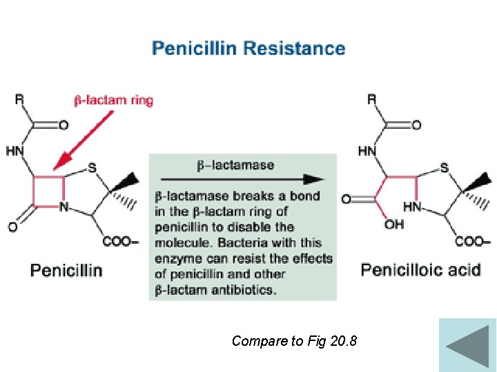 Compare to Fig 20. 8 