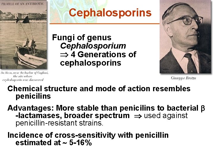 Cephalosporins Fungi of genus Cephalosporium 4 Generations of cephalosporins Chemical structure and mode of