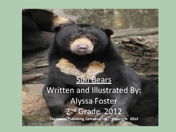 Sun Bears Written and Illustrated By: Alyssa Foster 2 nd Grade 2012 Thompson Publishing